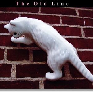 ISO (In Search Of) I DO NOT OWN THIS PRODUCT. Cat Wall Climber.